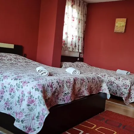 Koleshevi 2*